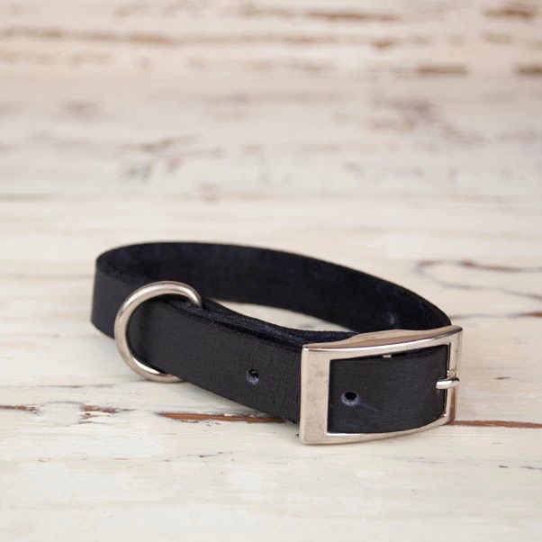 small leather dog collars